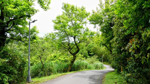 白雲派出所。蒙格不驚2759932