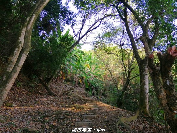 台中~原始悠靜山林~太平淨德寺後山步道1300306