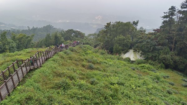 (姨婆趴趴走)第三十集:嘉義梅山太平雲梯、太平老街、太興岩茶園步道、龍王金殿2335385