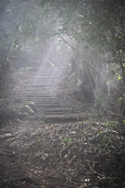 馬那邦山的雲海季2650884