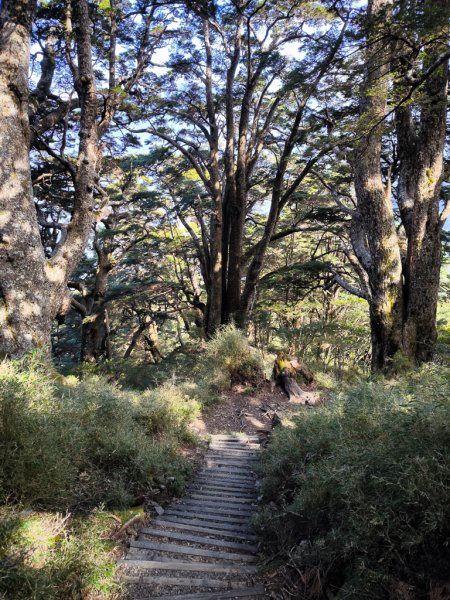 2026-02-09 庫哈諾辛山2999006
