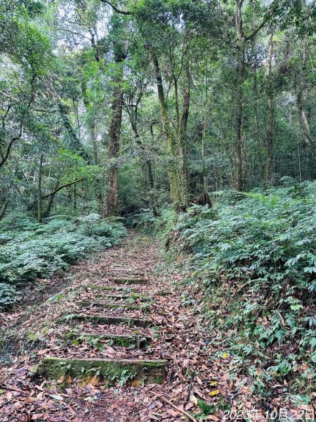 特富野古道2846016