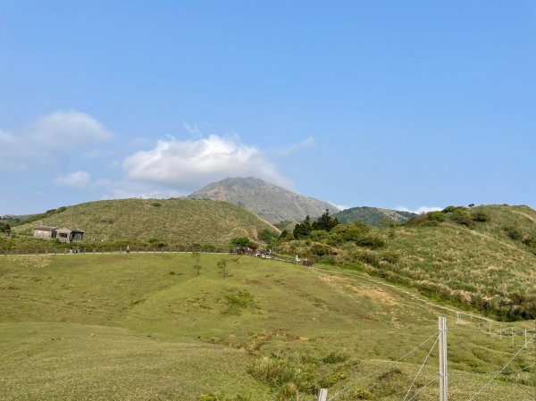 小綿羊草原2126155