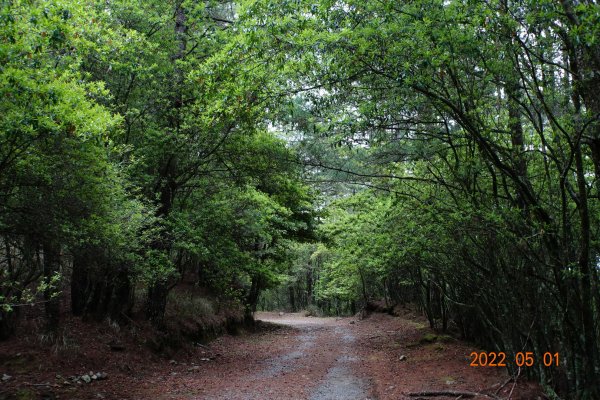 臺中 和平 北三錐山1697908