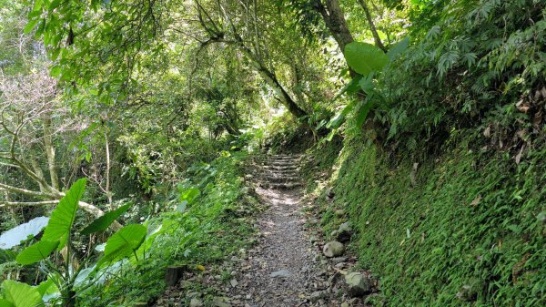 福山部落,內洞森遊區2552406