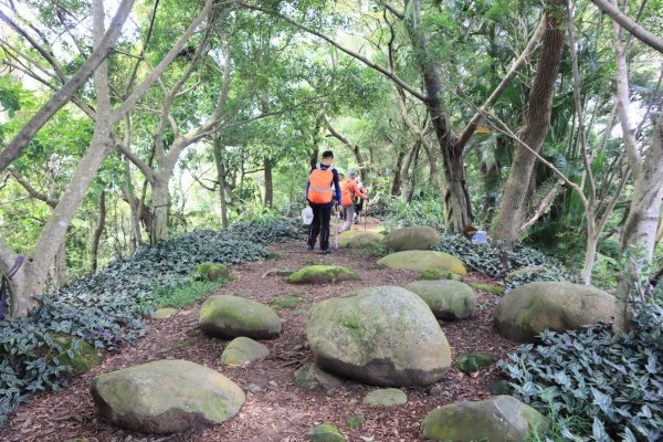台北天際線泰山段2799087