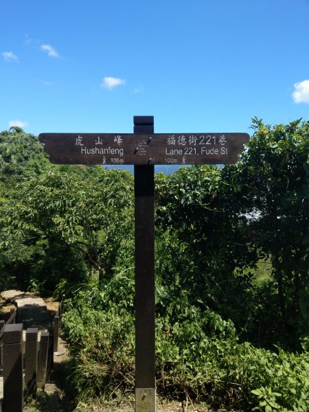 南港山及九五峰676193