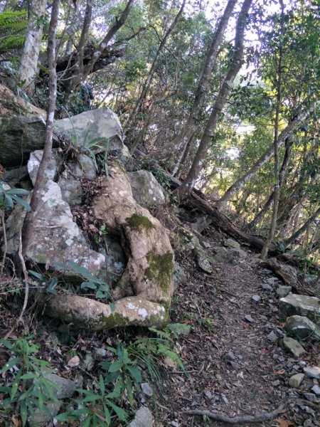 谷關七雄：八唐縱走(八仙山、唐麻丹山)1507578