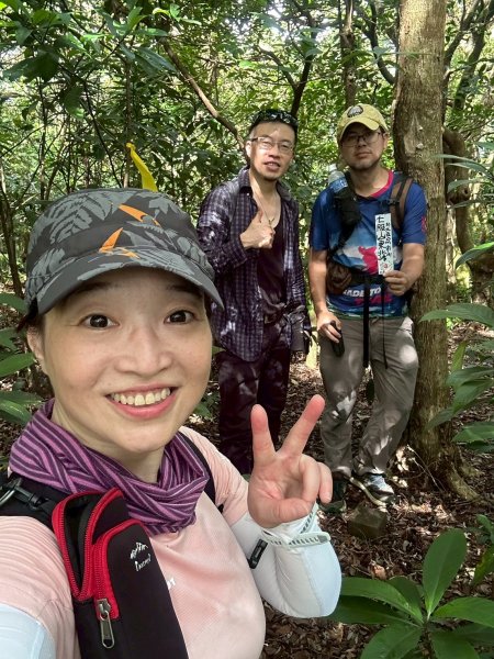 20251011七股山-七股山東北稜-七股山北峰-七股山東北峰-下七股西南-下七股-下七股東北-下七2910578