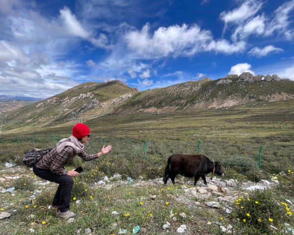 川藏33天深度之旅💙#稻城亞丁-來古冰川2901982
