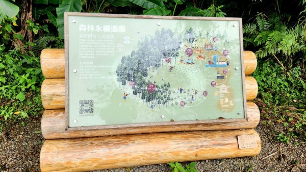 【中級山】有一種美，令人不想回家，新竹鵝公髻山2744653