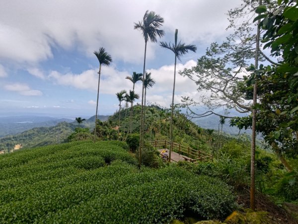 華山4-2號步道上雲嘉連峰2579341