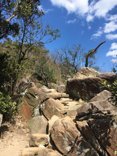 20170215金面山297698