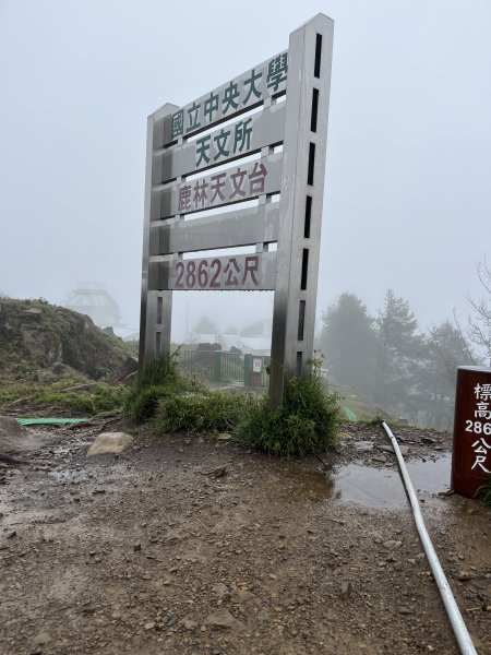 鹿林山-鹿林前山-真鹿林山-石水山-石水山基點峰 2025.5.252798420