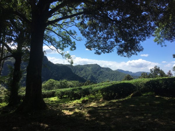 熊空茶園、西熊空山2293082