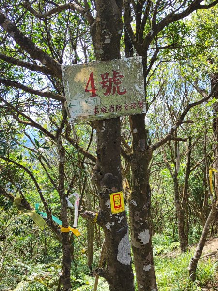 微笑山線：【二格山系】筆架連峰段2920974