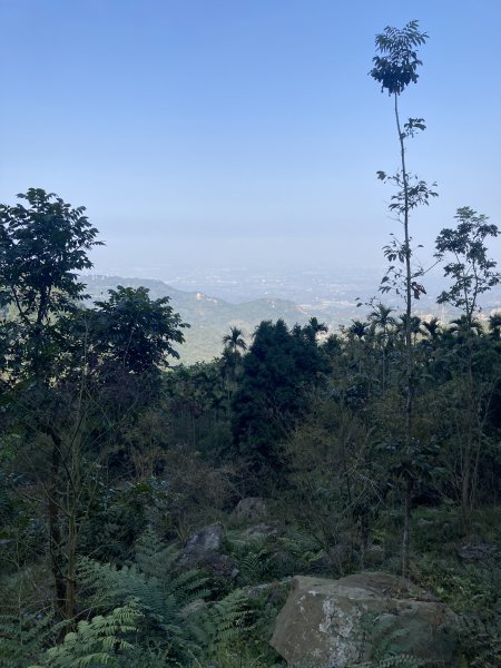 20260219九龍山+崩山+黑石崁山南峰+黑石崁山+凍仔頂山3002557