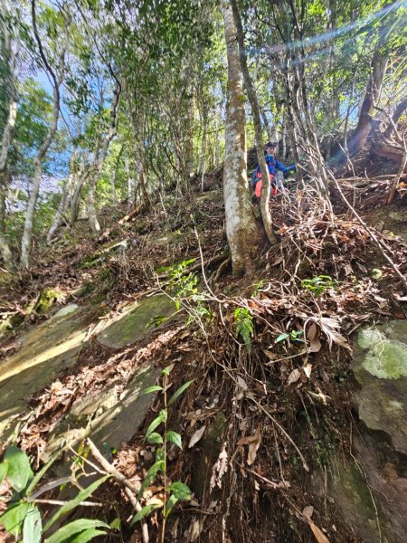 20250112八眉阿2688342