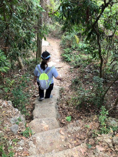 2020.04.02北柴山900694