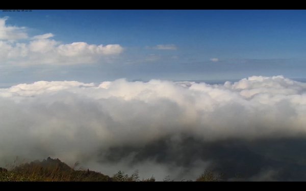 阿里山雲瀑&雲海/富士山直播即時視訊841045