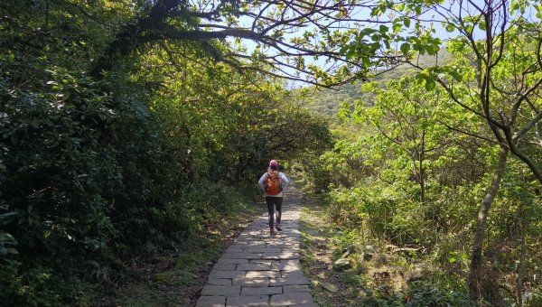 (姨婆趴趴走)第四十八集:新北草嶺古道（福隆車站-大里車站）2747678