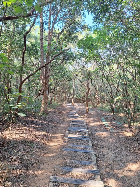 大肚環保公園步道+大尖山+萬里長城步道萬里長城步道202512072956513
