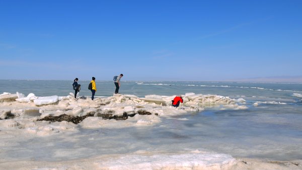 【青海/甘肅 -絲路】青海湖/祁連山783247