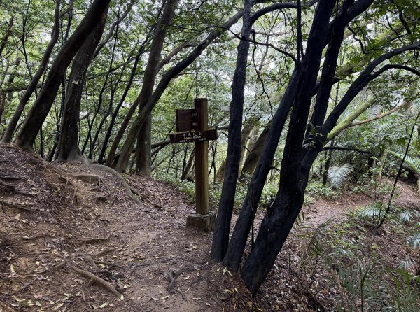 [微笑山線_第三段] 2026_0328 鳶山山系_鳶山彩壁3025685