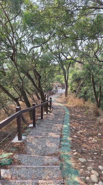 瑞井古道+竹坑山+竹坑南寮步道202603283045275