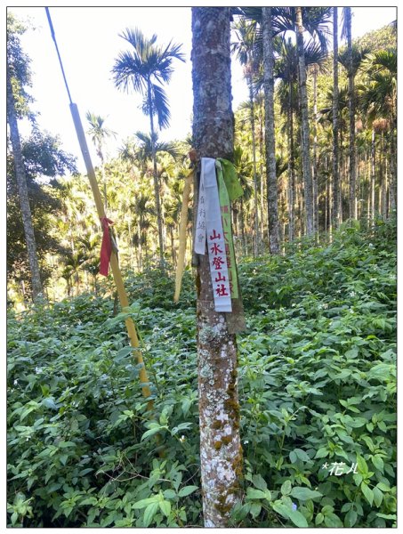 雨後頭縱走 (日月潭)2694396