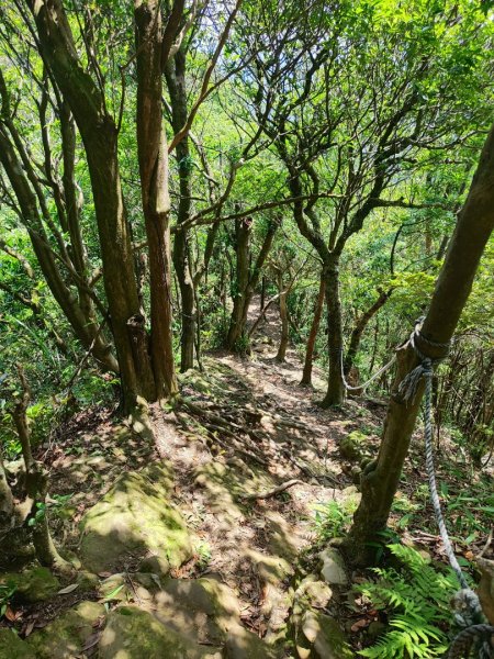 石碇鱷魚島-草湳二格山2786775