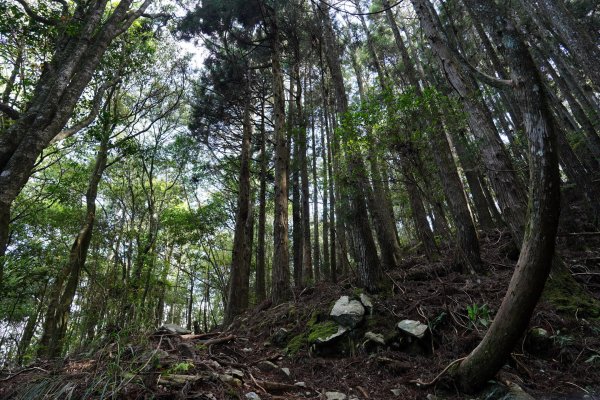 台中 和平 馬崙山2796946