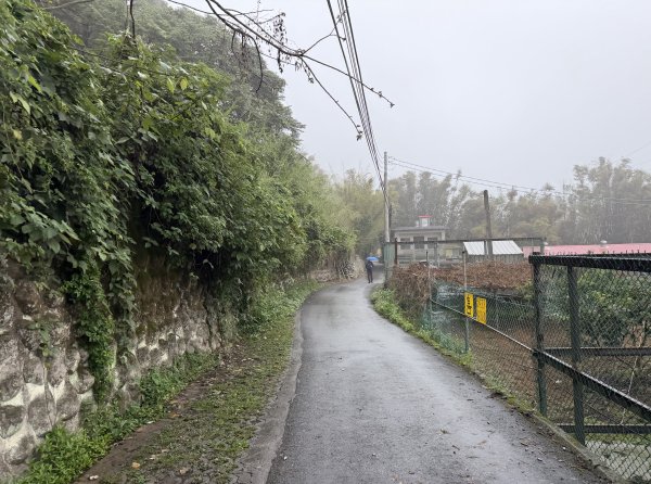 [樟之細路_第一大段RSA06] 2026_0329 打牛崎古道3027170