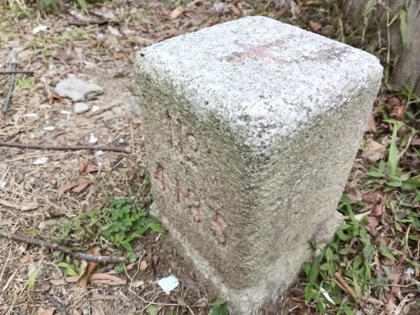 枕頭山-枕頭山西峰2733963