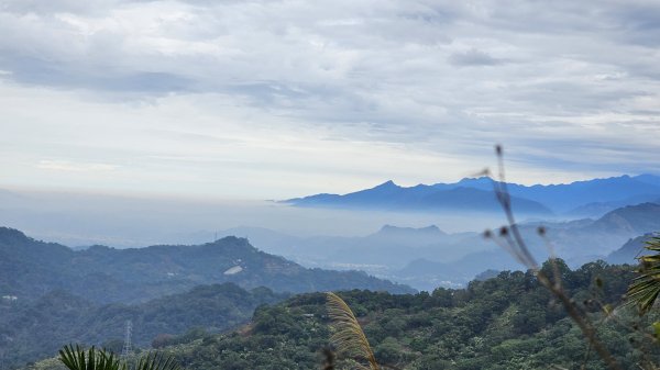 暗影山三進三出2366563