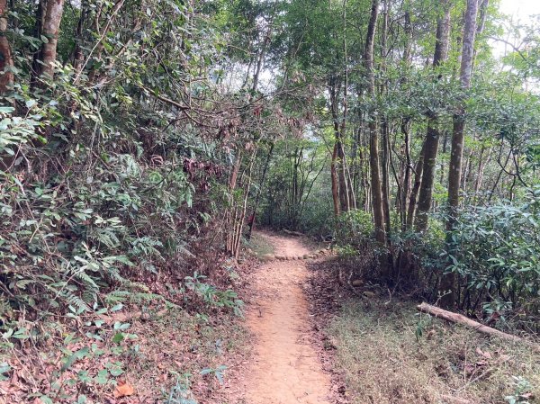 火炎山登山步道2386044