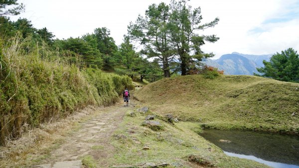 20180420鹿林山 麟趾山1495689