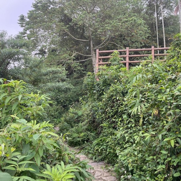 2023_0429_挑筍古道2138235