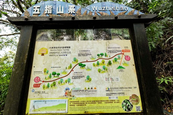 大崙頭尾山｜小百岳2756493