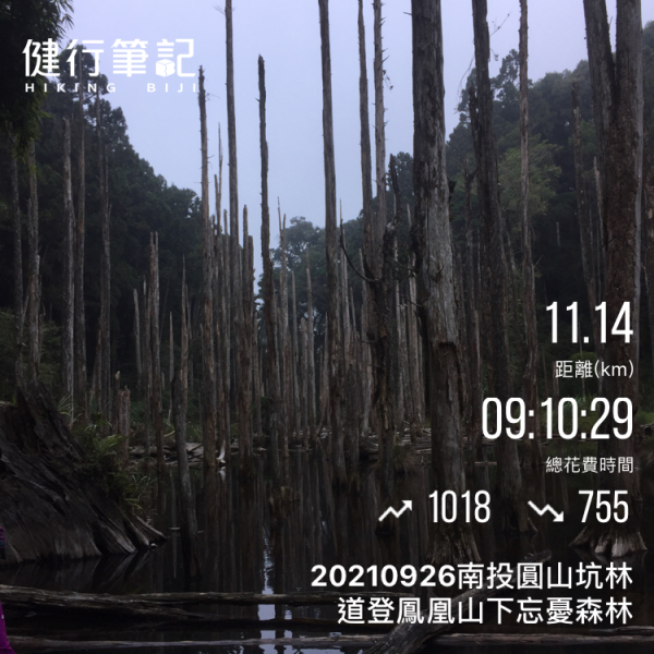 20210926南投圓山坑林道登鳳凰山下忘憂森林1473460