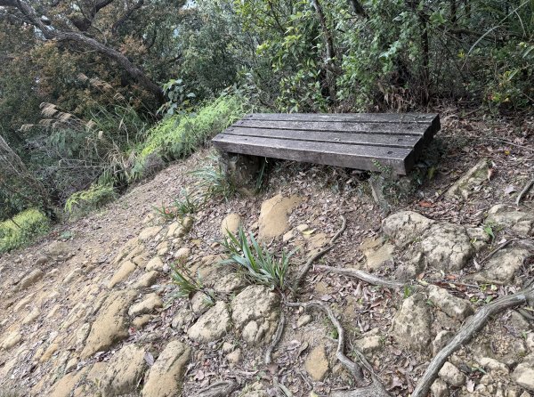 [微笑山線_第四段] 2026_0321 天上山系_十八羅漢岩3022130