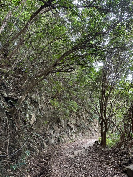 遠離塵囂的世外桃源南仁山生態保護區1905743