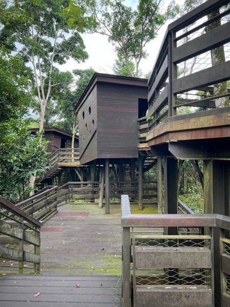 龍美步道 土匪山 公興森態園區2556365