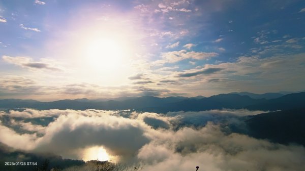 除夕寒流來襲的翡翠水庫雲海&天元宮寒櫻1/282700707