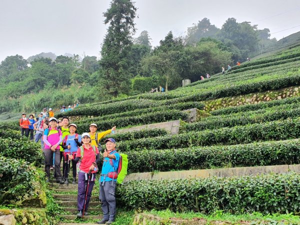 【雲嘉】後棟山連走大二尖山1478484