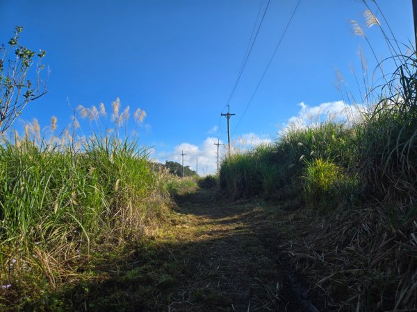 月眉山（小百岳）3000553