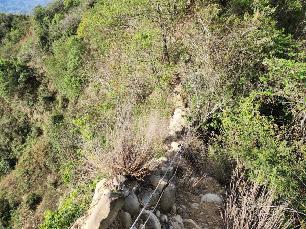 20230416大坑步道2~5+石苓湖山2175624