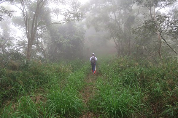 烏山嶺水利古道2799215