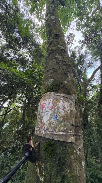 雙石縱走 O環3044910