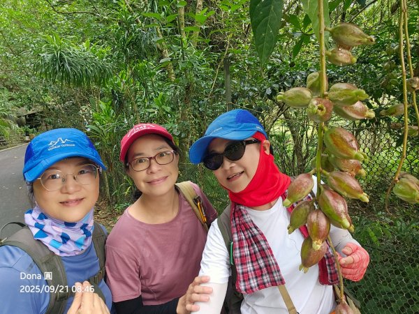 20250921平溪石筍尖連走赫山(三坑山)O型走2894470